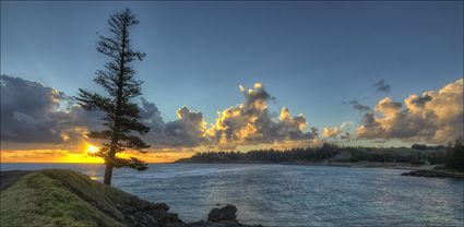 Lone Pine - Norfolk Island - NSW T (PBH4 00 12155)